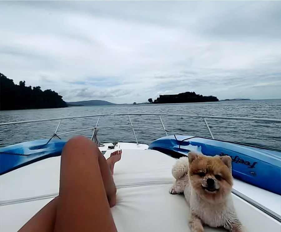 The bow of the Playlife boat on open water